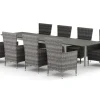 Comfort Garden Tunis utendørs spisegruppe, uttrekkbar 205/305x90 cm med 8 Thor hagelenestoler